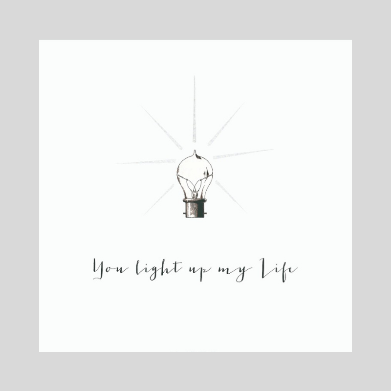 You Light Up My Life