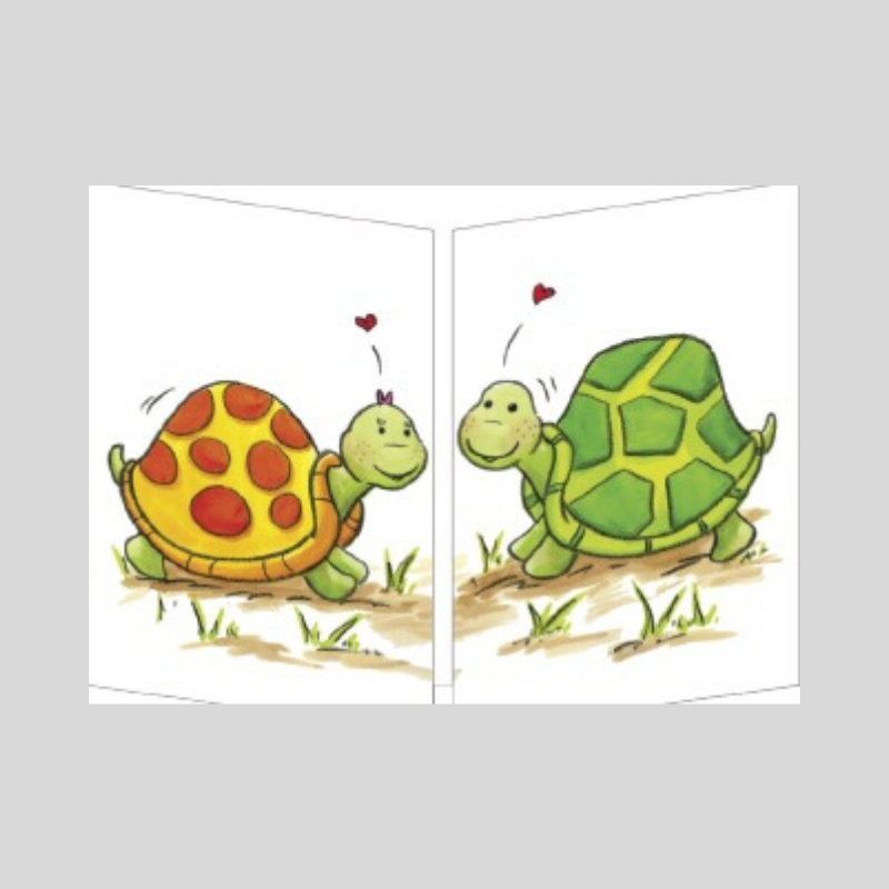 Tortoises In Love